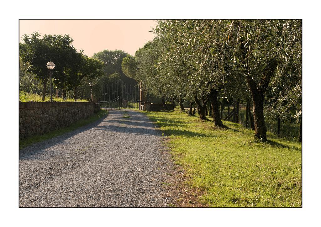 B&B Casale Virgili Siena Dış mekan fotoğraf